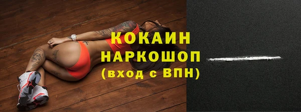 ПСИЛОЦИБИНОВЫЕ ГРИБЫ Абаза