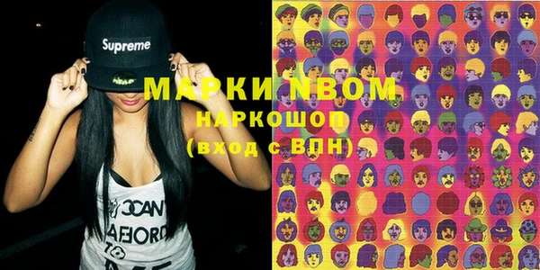 шишки Магас