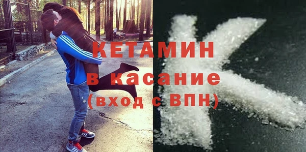 шишки Магас
