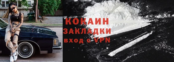 ПСИЛОЦИБИНОВЫЕ ГРИБЫ Абаза